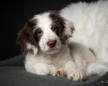 Jonas Richter profile photo