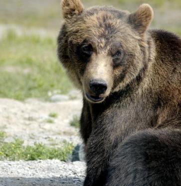 Maya Chen profile photo