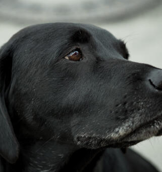 Maya Chen profile photo