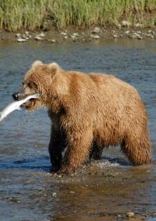 Jonas Richter profile photo