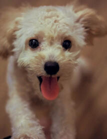 Alex Martinez avatar