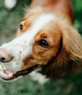 Leo Anders profile photo