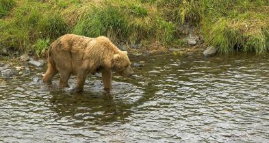 Alex Martinez avatar