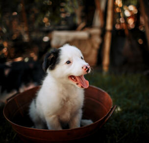 Jonas Richter profile photo