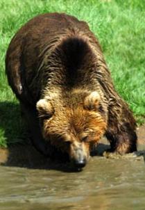 Alex Martinez avatar