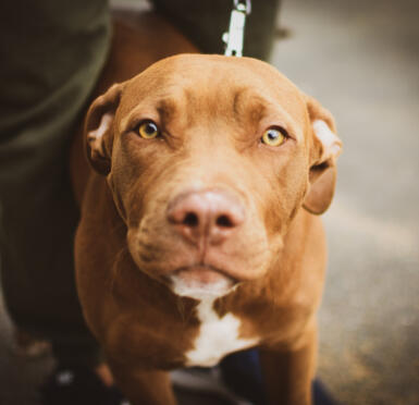 Alex Martinez avatar