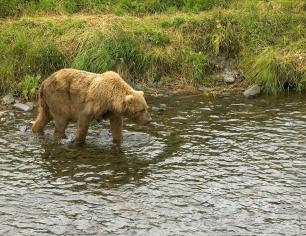 Maya Chen profile photo