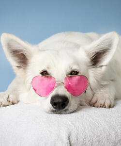 Leo Anders profile photo