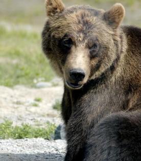 Leo Anders profile photo