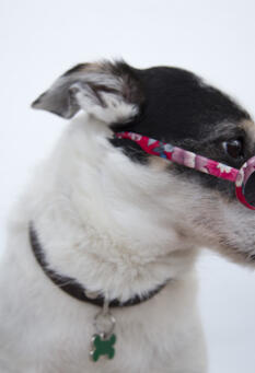 Alex Martinez avatar