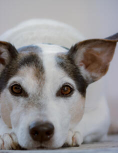 Leo Anders profile photo