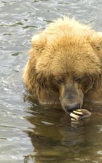 Maya Chen profile photo