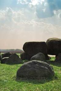 Alex Martinez avatar