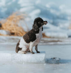 Leo Anders profile photo