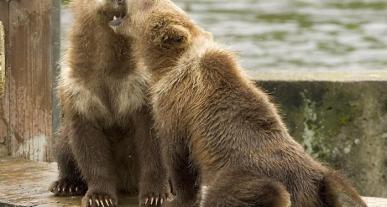 Maya Chen profile photo